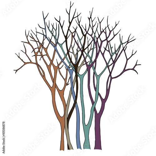 A group of thin trees with detailed twigs. Abstract bare bush. Color vector illustration.
