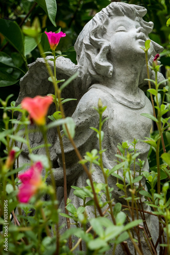 little angel in my garden pathumthani thailand