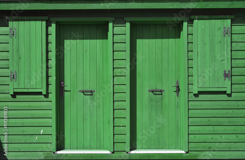 Green main facade of a wooden rustic house © avarand