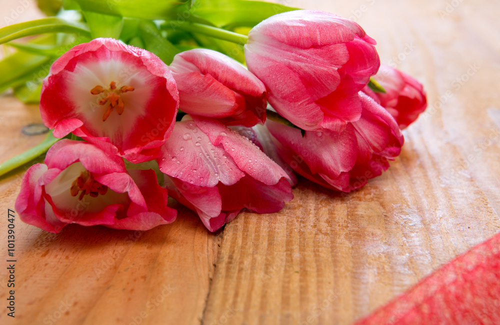 Pink tulip bouquet isolated . Pink tulip bouquet isolated .