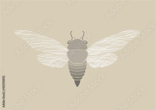 Graphic print of Cicada.