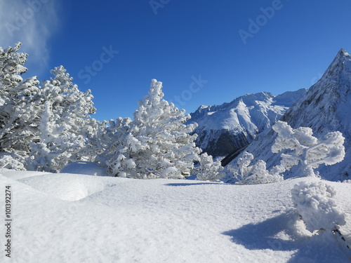 Winterlandschaft in den Alpen © siggi1956