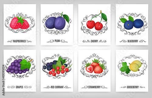Fresh berries and calligraphic elements