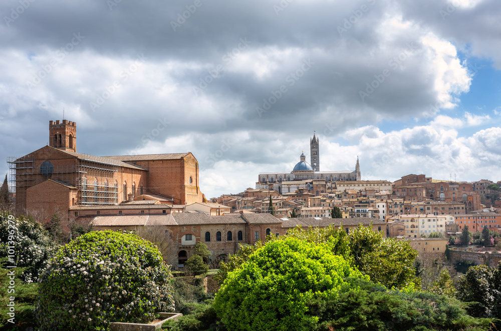 Cityscape of Siena. Tuscany, Italy