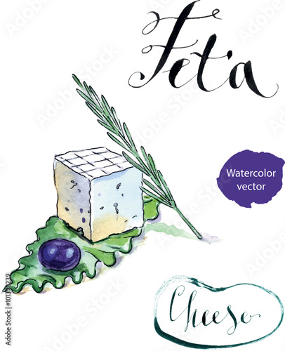 Delicious sliced Greek feta cheese with olive, rosemary and sala