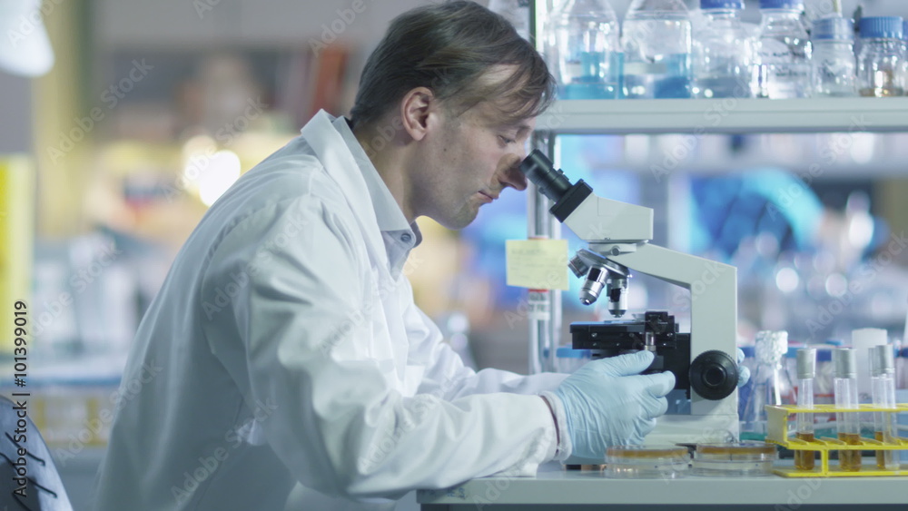 Male scientist is working on a microscope in a laboratory. Shot on RED Cinema Camera. Male scientist is working on a microscope in a laboratory. Shot on RED Cinema Camera.