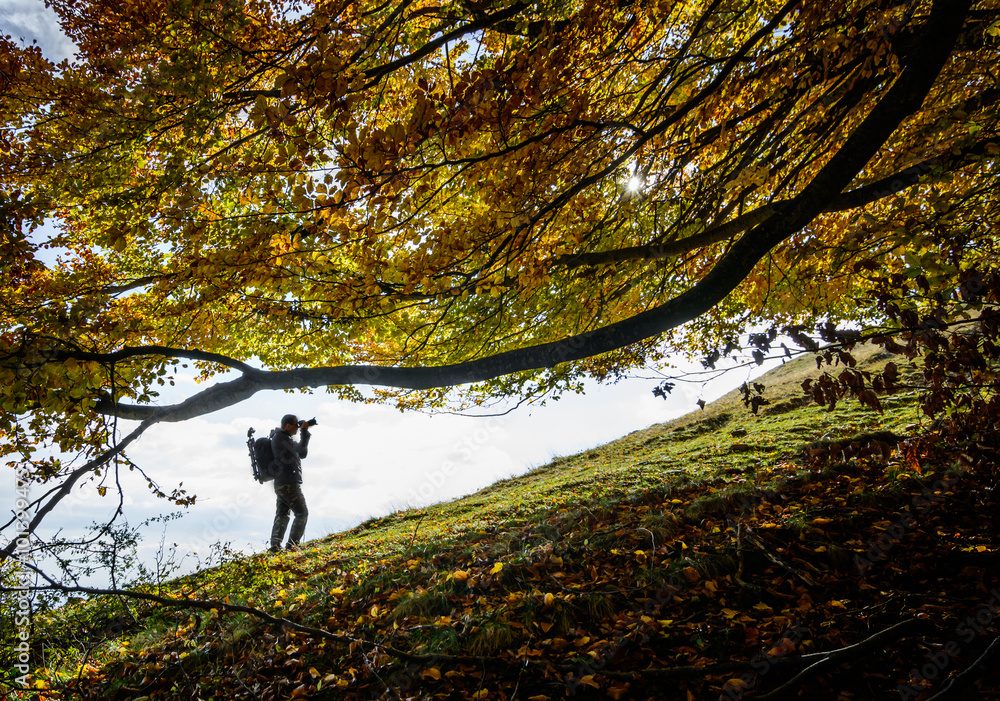 Photographer taking pictures over fall tree. Man taking pictures