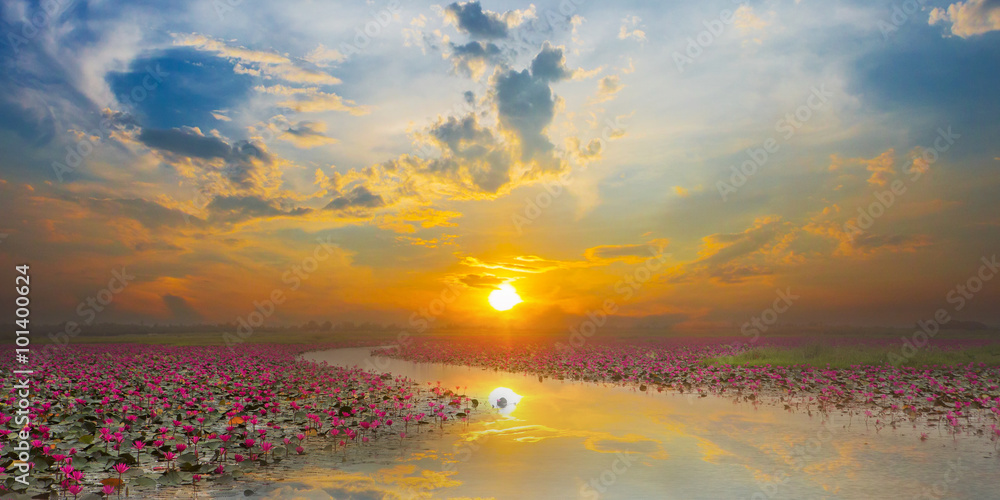 Fotografie Sunset at Sea Red Lotus