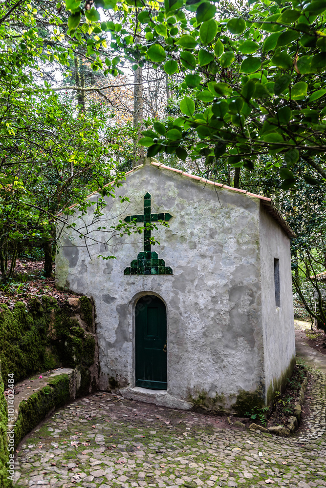 Park of Pena National Palace (Palacio Nacional da Pena) Sintra. Park of Pena National Palace (Palacio Nacional da Pena) Sintra.