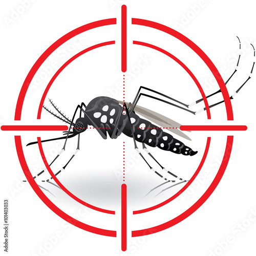 Nature, Aedes aegypti mosquitoes with stilt target. sights signal