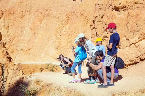 Meeting on the trail with wildlife. Tourists watch and take pict