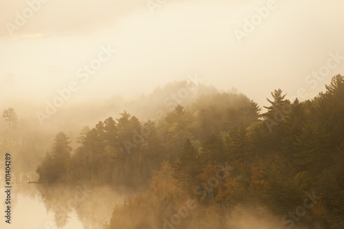 Pines and aspens in morning fog on Boundary Waters lake