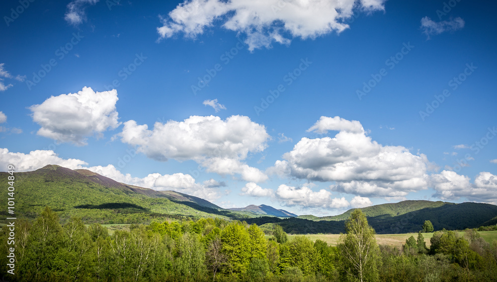Landscape of mountains and forest