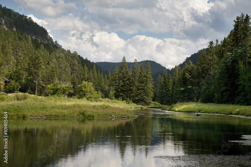Trout stream in the Black Hills of South Dakota