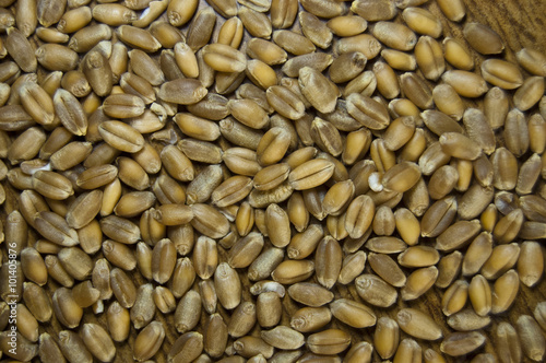 wheat background