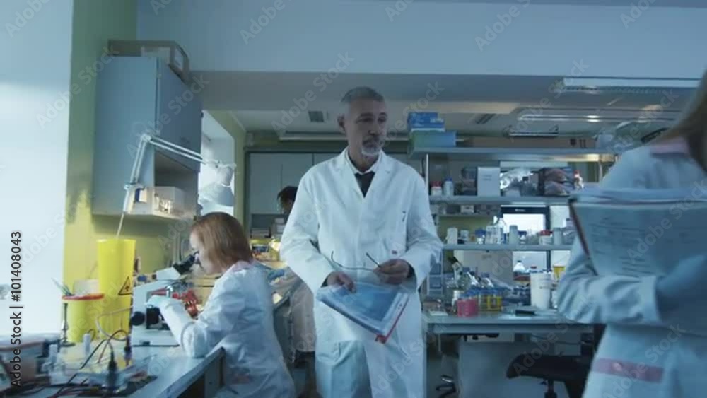 Senior scientist is walking with documents in a laboratory where colleagues are working. Shot on RED Cinema Camera. Senior scientist is walking with documents in a laboratory where colleagues are working. Shot on RED Cinema Camera.