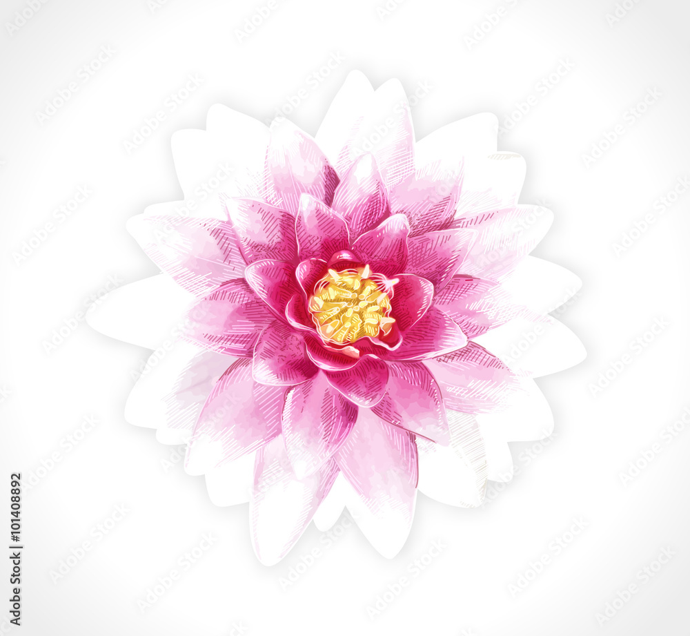 Vector pink soring flower isolated illustration. EPS10.