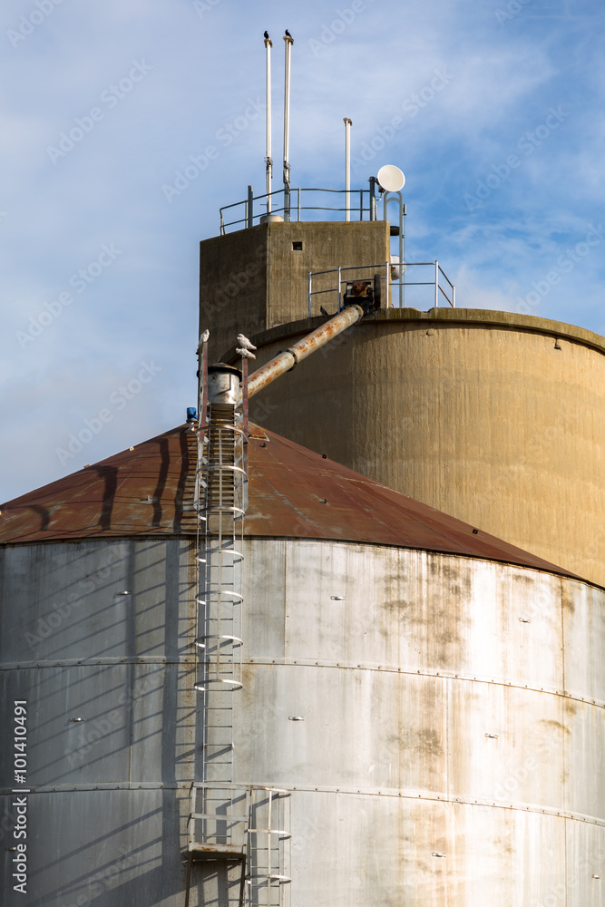 Obraz premium Steel grain Silos