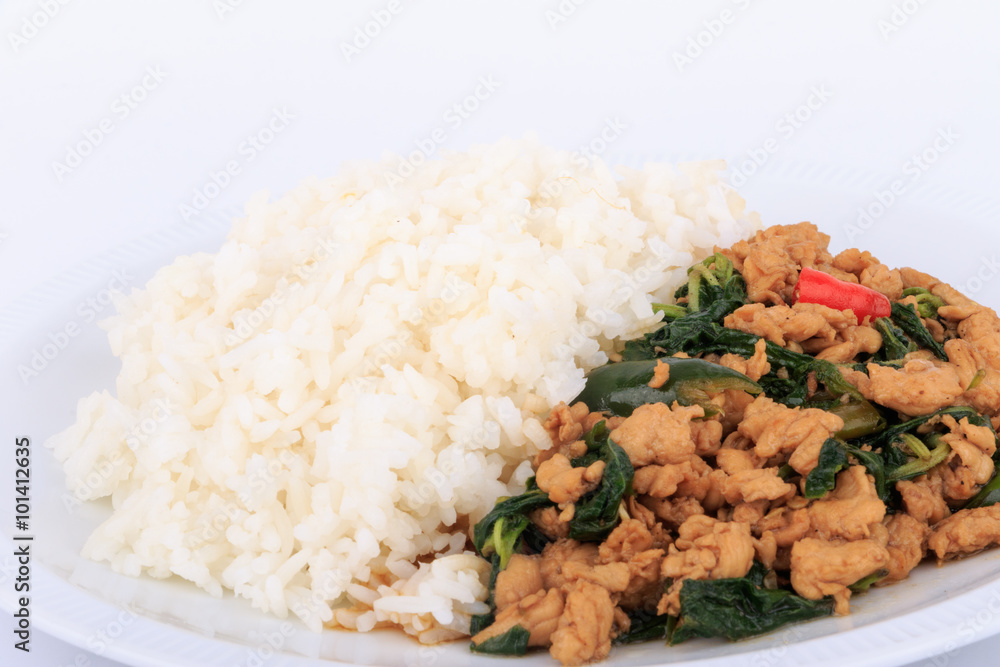 Rice topped with stir-fried chicken and basil, fried stir basil with minced chicken on white background (Isolated Background) Rice topped with stir-fried chicken and basil, fried stir basil with minced chicken on white background (Isolated Background)