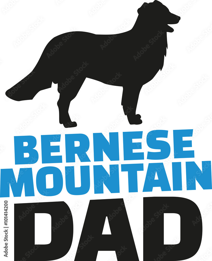 Bernese mountain dad with dog silhouette