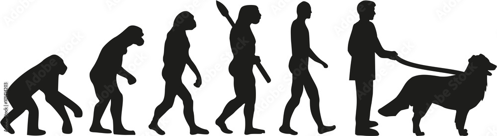 Bernese mountain evolution Bernese mountain evolution