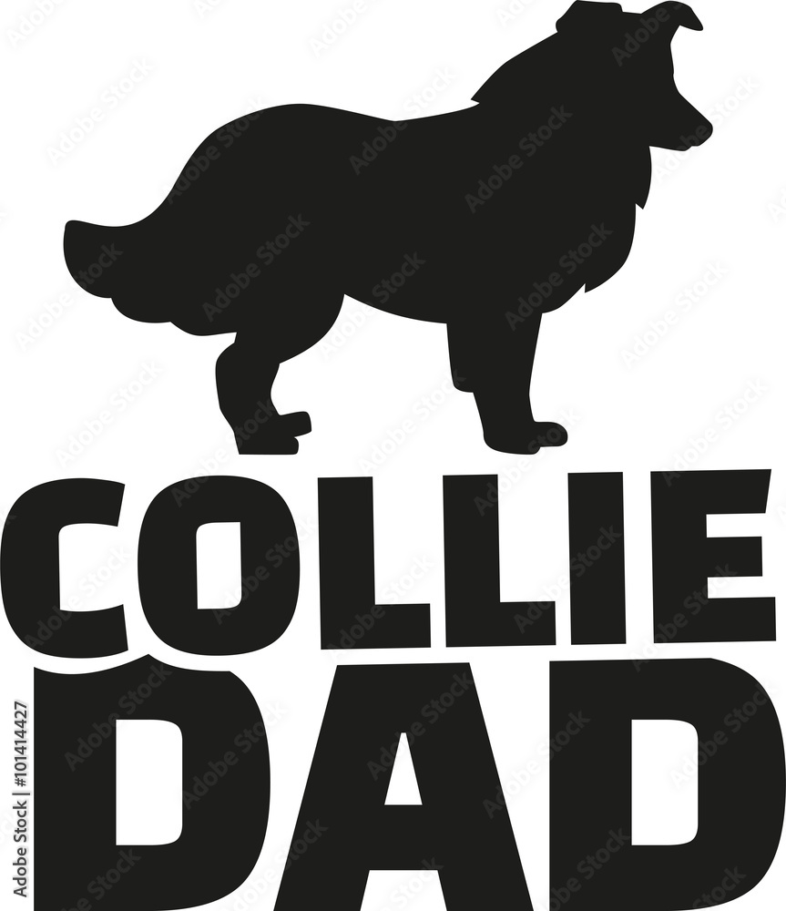Collie dad