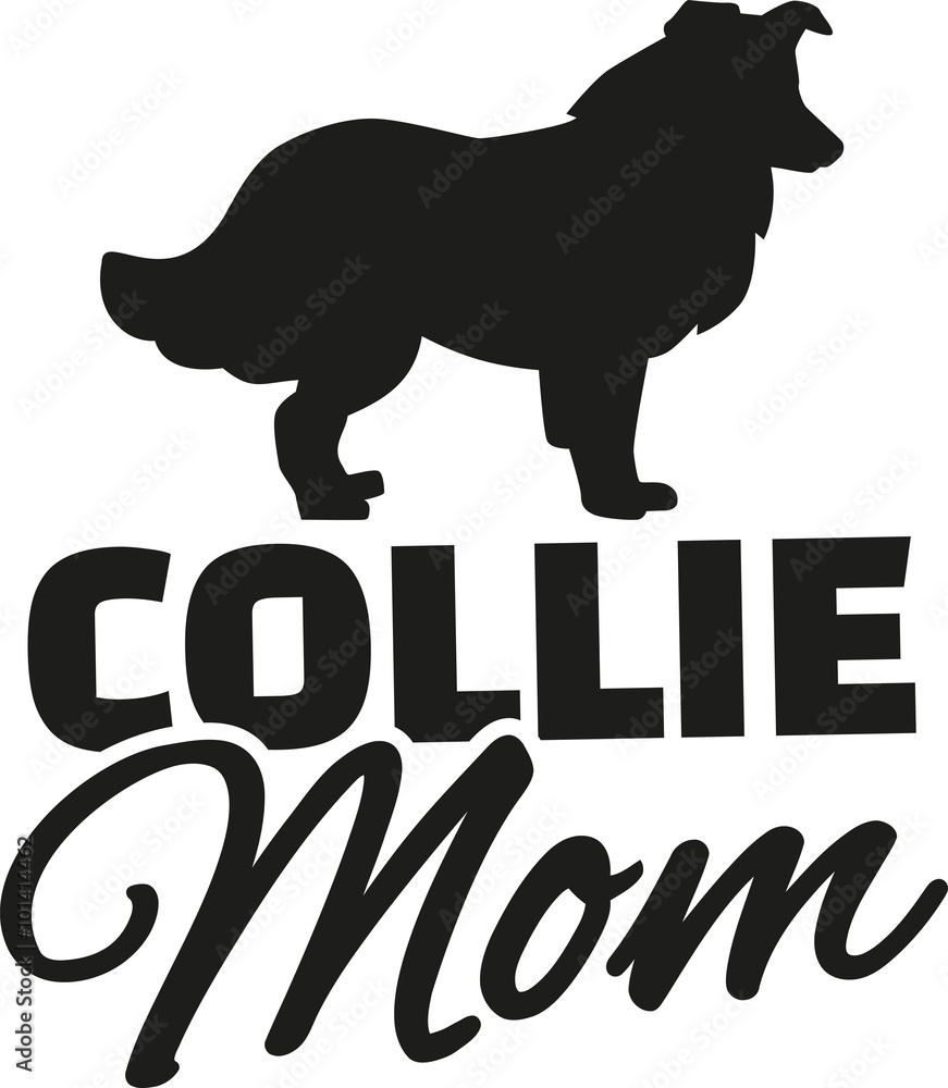 Collie Mom