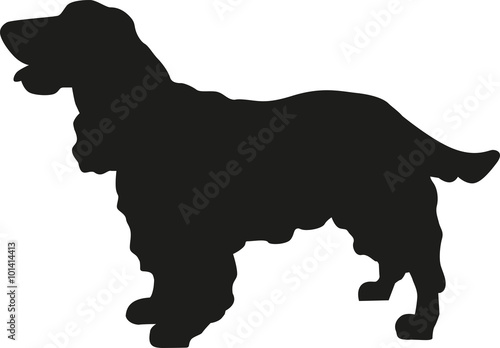 Cocker Spaniel silhouette