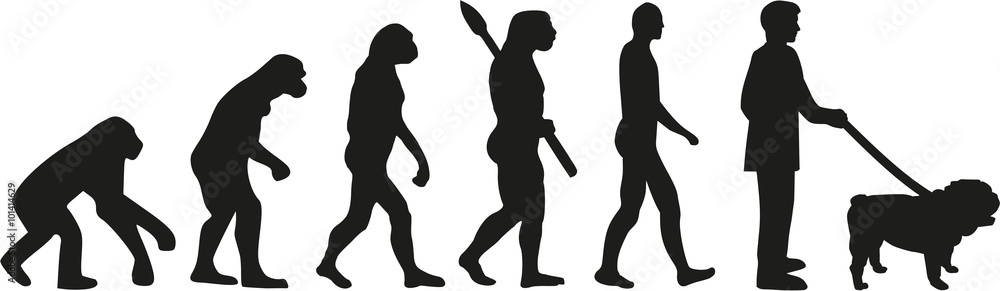 English bulldog evolution English bulldog evolution