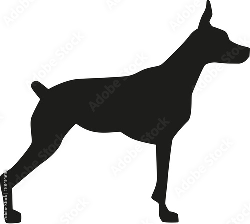 Doberman silhouette
