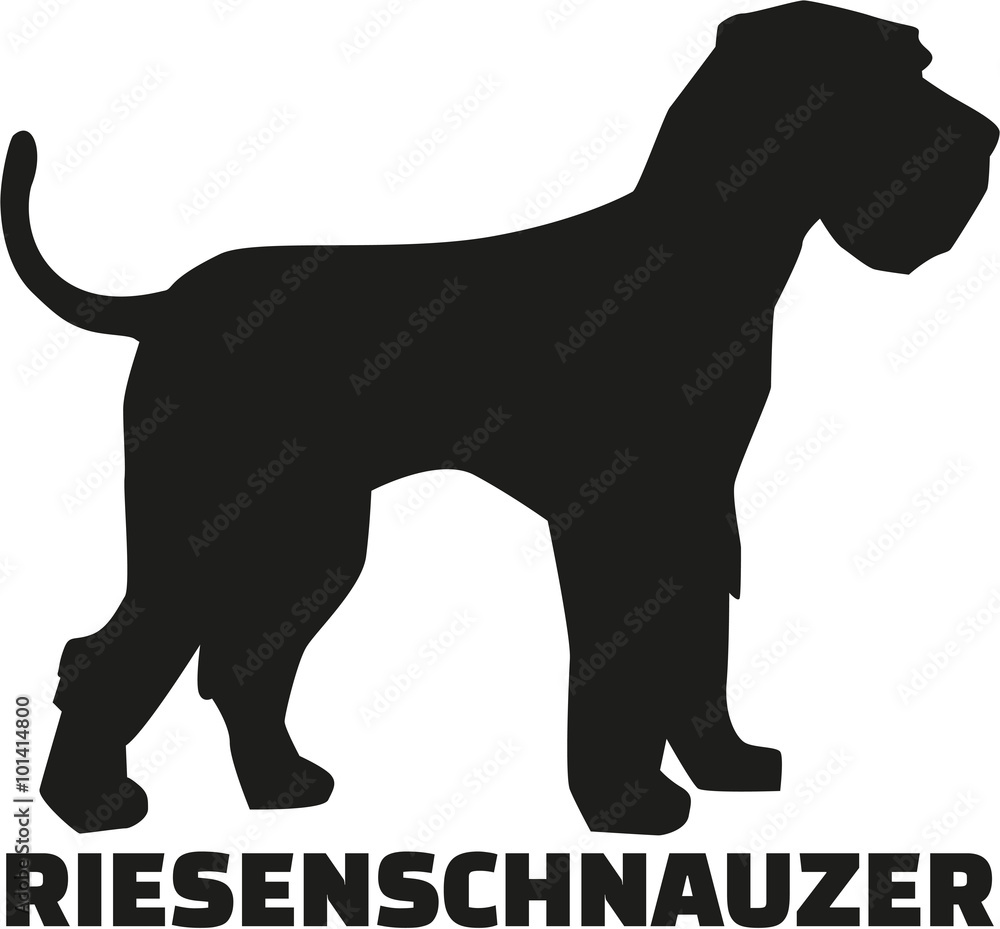 Giant Schnauzer with german breed name