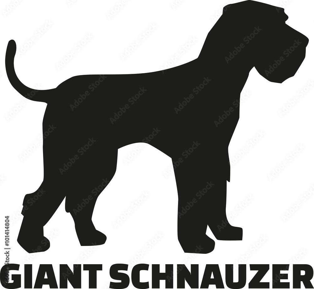 Giant Schnauzer with breed name