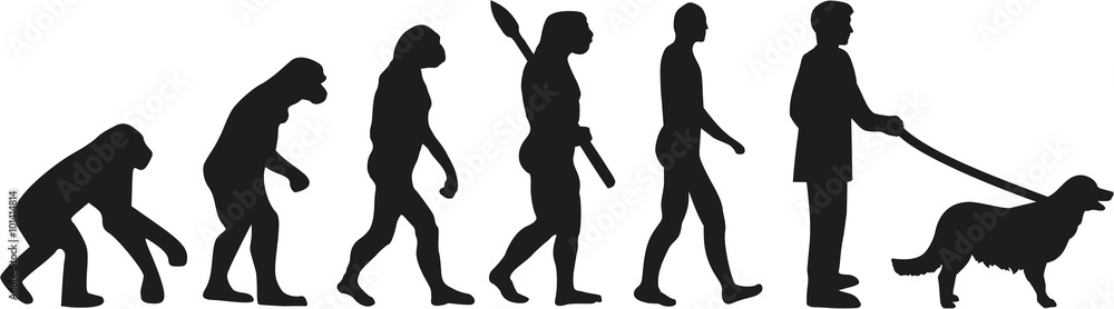 Golden retriever evolution Golden retriever evolution