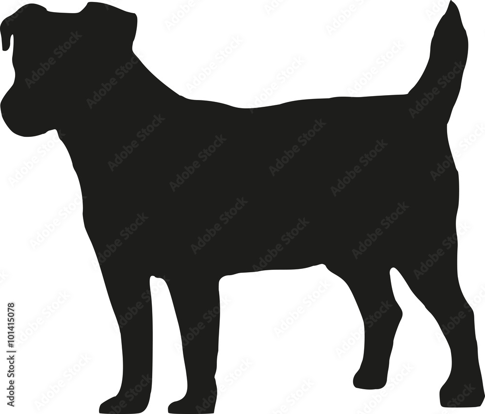 Φωτογραφία Jack Russell silhouette