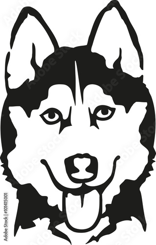 Husky head