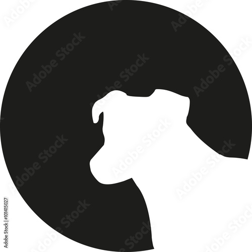 Jack Russell Terrier head in front of the moon