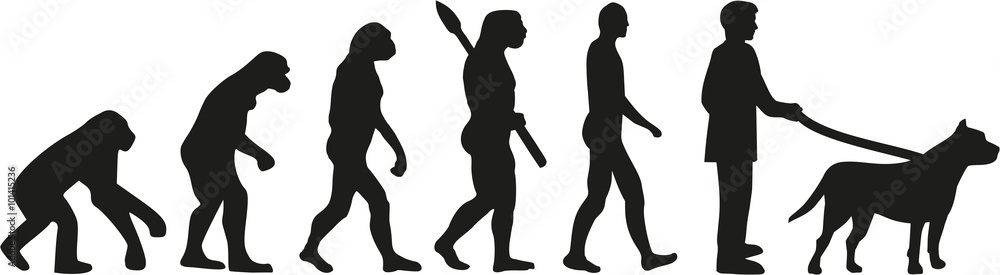 Pit bull evolution Pit bull evolution