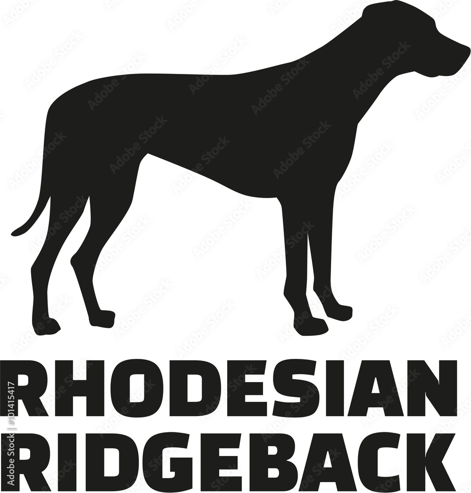Rhodesian ridgeback with breed name