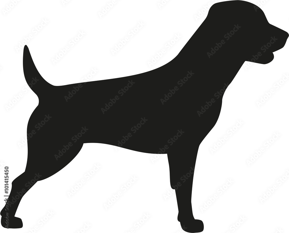 Rottweiler dog icon Rottweiler dog icon