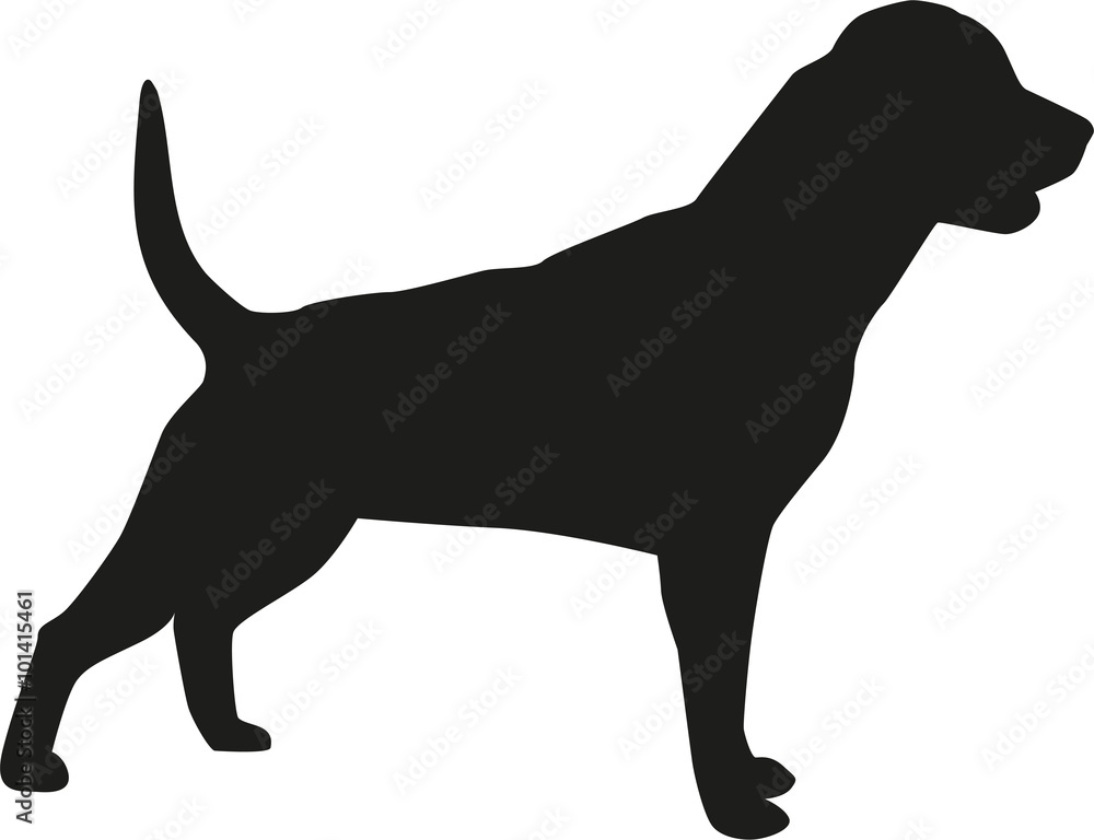 Rottweiler dog silhouette