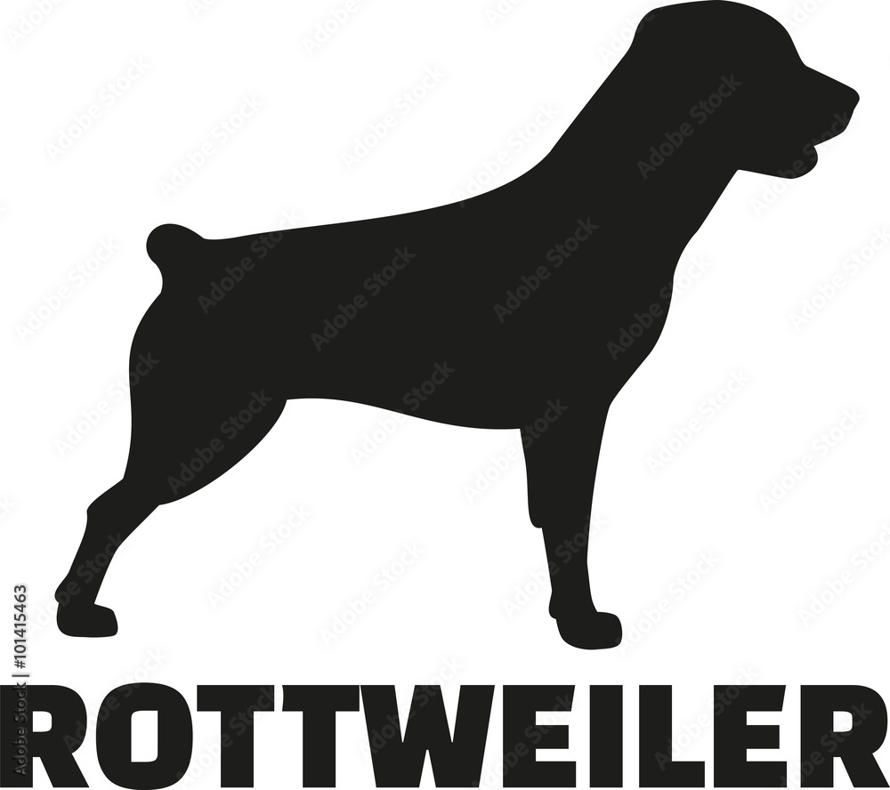 Rottweiler with breed name with short tail