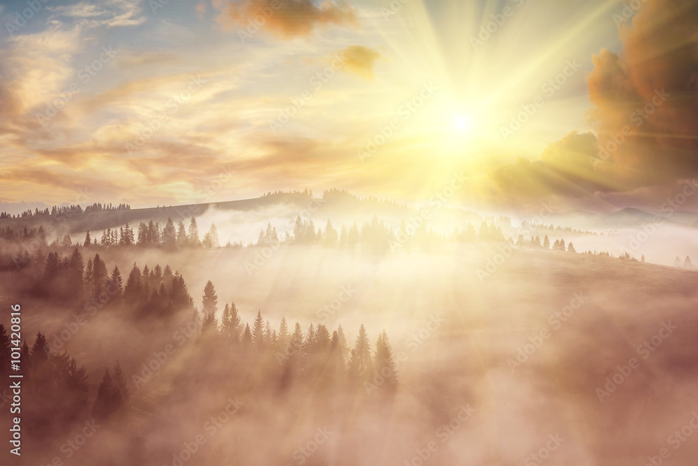 Foto Majestic landscape with forest