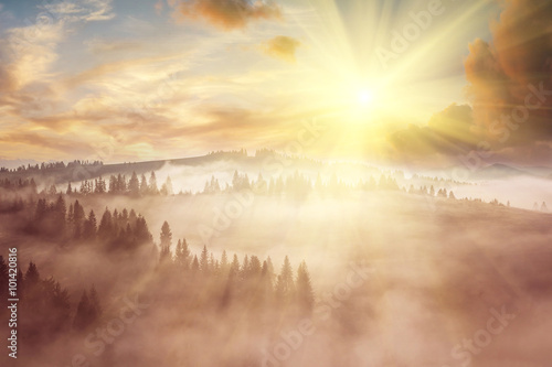 Obraz na plátne Majestic landscape with forest