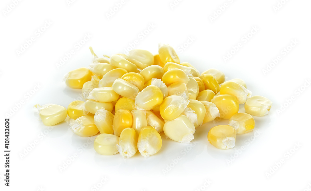 Fototapeta premium Corn seed isolated on the white background