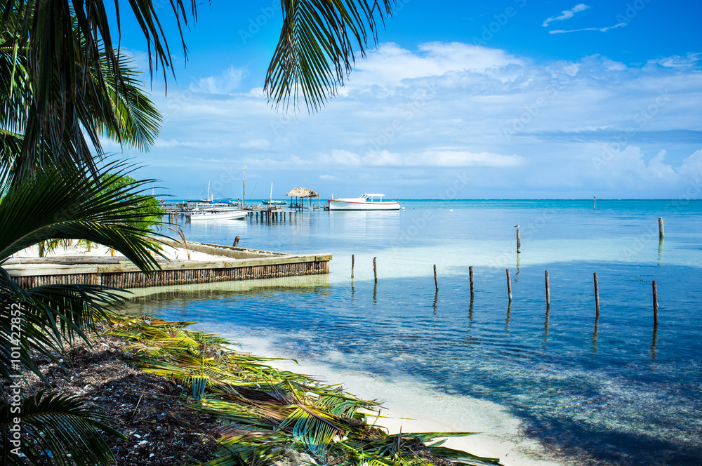 Φωτογραφία Blue water beach with palm trees in Caye Caulker, Belize