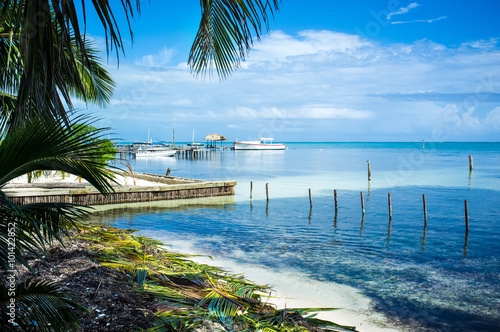 Blue water beach with palm trees in Caye Caulker, Belize photo