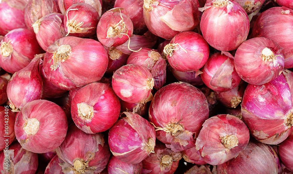 Close up red shallot background texture Close up red shallot background texture
