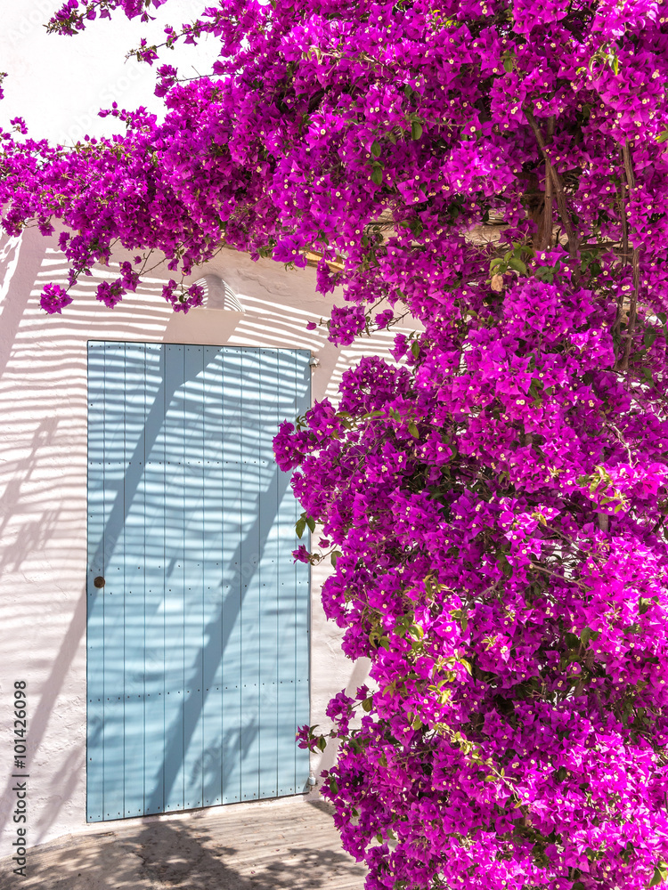 Fotografie Traditional Formentera Doors