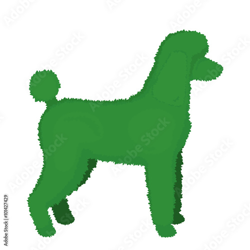 Vector illustration of a poodle topiary.