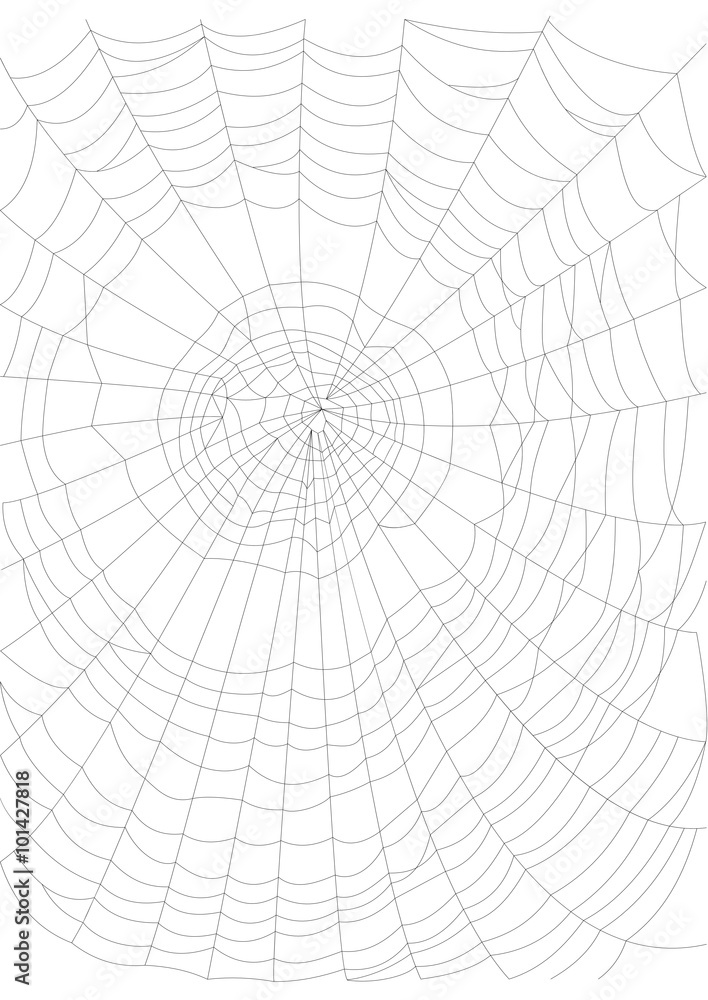 Thin and crispy cobweb background black on white. Vector illustration.